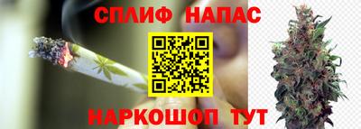 молекула духа Жуковский